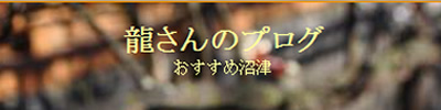 龍さんのブログ