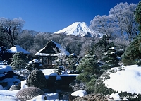 鱒の家