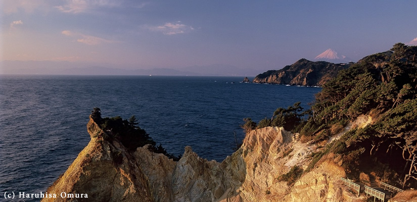 夕映えのプロピライト