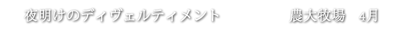 夜明けのディヴェルティメント