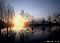 夜明けのディヴェルティメント【春】