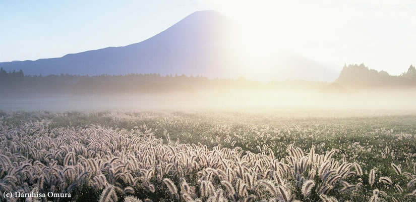 爽秋のアテリア
