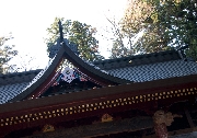 本宮