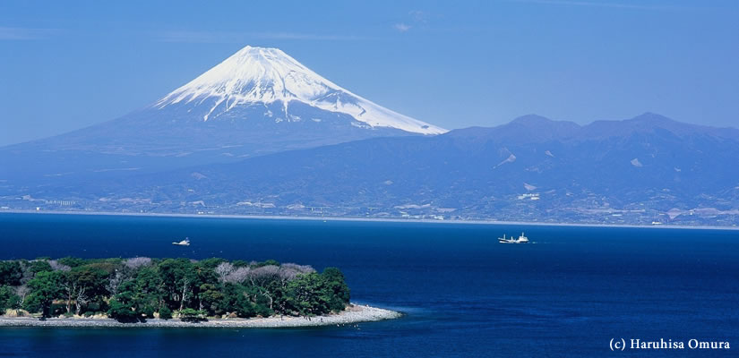 岬の春