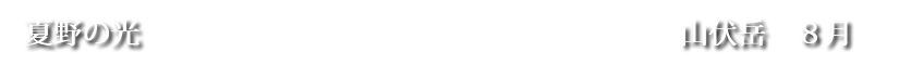 夏野の光