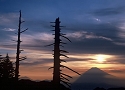 夏野の光