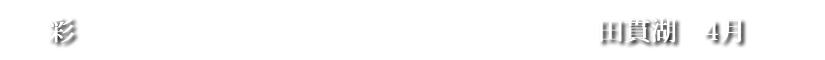彩