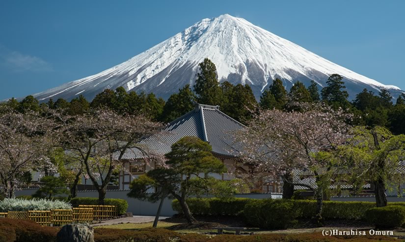 大石寺