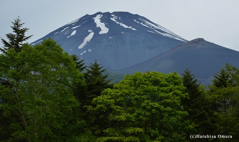水ヶ塚