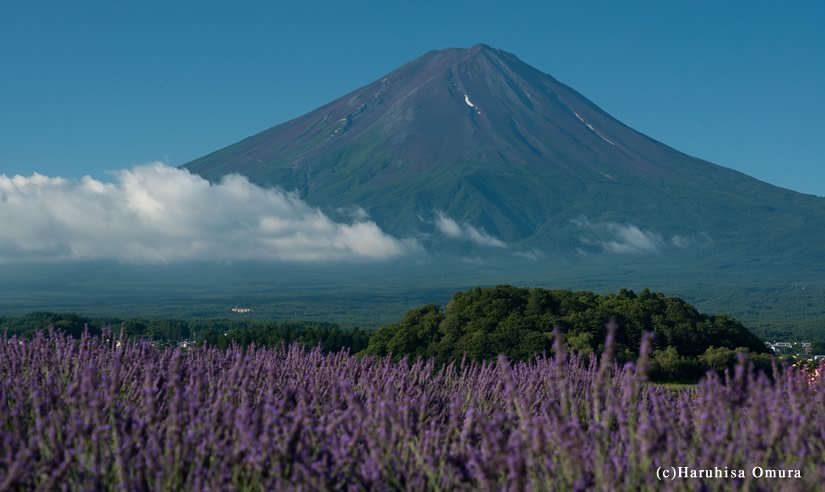 河口湖